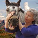 Lynn McKenzie | Acclaimed Animal Communicator, Healer & Teacher - @animalalchemy333 - Instagram