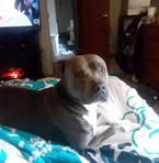 Lynn McLain - Facebook
