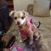 Lynne Mclane - Facebook