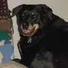 lynnmeier3 - @lynnmeier3 - TikTok
