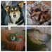 Lynn Menard - Facebook