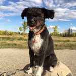Lynn Menard - @2288lynn - Instagram