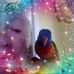 Lyn Messenger - Facebook