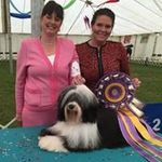 Lynn Meyer - @lynn.meyer.399 - Instagram