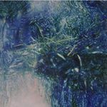 Lynn Meyer - @lynnmeyer.portfolio - Instagram