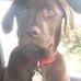 Lynn Milliken - Facebook