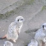 Lynn Milner - @lynnmilner58 - Instagram
