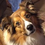 Lynn Milner Walker - @lilabean05 - Instagram