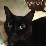 Lynn McCrain Molitor - @orchid_girl3811 - Instagram