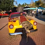 Oneil Lyn Amos - @lynnmore200 - Instagram