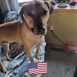 Lynn Mosher Cochran - @lcchran56 - Instagram