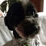 Lynn Louise Munch - @llmunch01 - Instagram