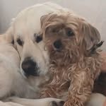 Lynn Munch - @lynn_munch - Instagram