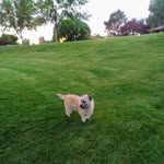 Lynn Napolitano - @lynnannanapolitano - Instagram