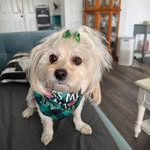 Lynn Giuliano Nesbitt - @sunshine71756 - Instagram