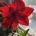 Lynn Nester - Facebook