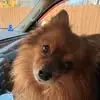 Lynn Pruitt Nestor - @lynn.pruitt.nesto - TikTok