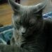 Lynn Neubauer - Facebook