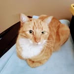 lynn neubauer - @neubauer.lynn - Instagram