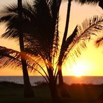 Lynn Neufeld - @lynniebear66 - Instagram