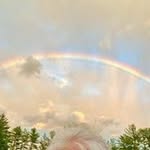Lynn Nicholas - @calendula - Instagram