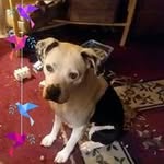 Lynn Nicks - @lynn.nicks.56 - Instagram