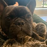 Stevie Lynn Nicks - @stevienicksward - Instagram