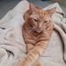 Lynn Nitz - Facebook