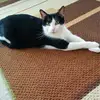 Lynn Nitz - @lynn.nitz - TikTok