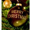 Christmas account❤️ - @rylynnoakes11 - TikTok