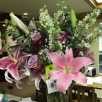 Lynn Oakes - Facebook
