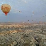 Lynn Ogle - @lynnogle38 - Instagram