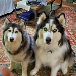 Lynn Holtman Olson - @lynnricko - Instagram