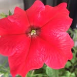 Lynn Olson - @lynnolson_ - Instagram