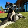 Lynn Olson - @lynn.olson3 - TikTok