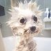 Lynn Osborn - Facebook