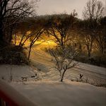 Lynn Osborn - @lynnmayenschein - Instagram