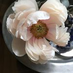 Lynn Ostermann - @ostermannlynn - Instagram