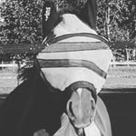 @lynn.otten - Instagram