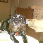 Lynn Otter - @lynn.otter.75 - Instagram