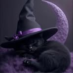 Bonnie Lynn Paley - Facebook