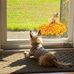 Lynn Palmer - Facebook