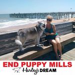 Lynn Parent - @lynn.parent.75 - Instagram