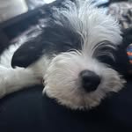 Lynn Long Parrish - @linnard64 - Instagram