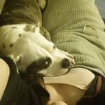 Josie-Lynn Marie Parrott - @josielynnparrott - Instagram