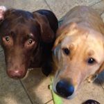 Lynn Parrott - @dlparrott2002 - Instagram