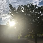 Andrea Lynn Partridge - @a_new_dreya - Instagram