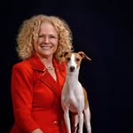 Lynn Partridge - @alura_italian_greyhounds - Instagram