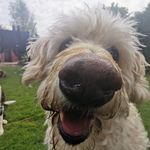 Lynn Patrick - @lynnpatrick5387 - Instagram