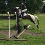 Lynn Pattison - @pattison4352 - Instagram